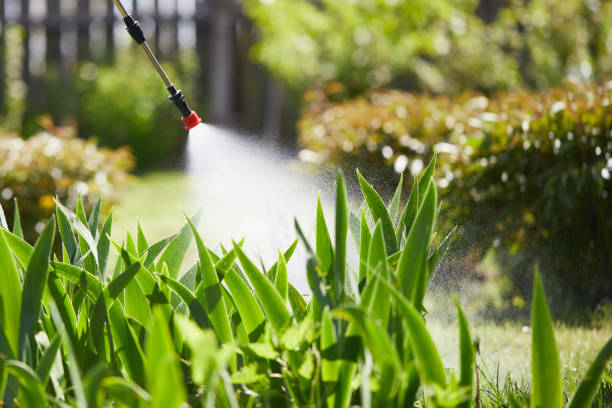 24/7 Emergency Mosquito Control experts in Arcata, CA