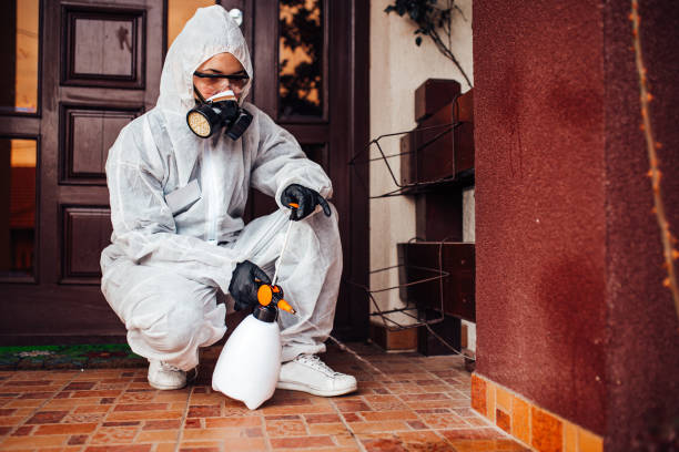 Reliable Mosquito Control contractor in Arcata, CA by Nex Pest Control