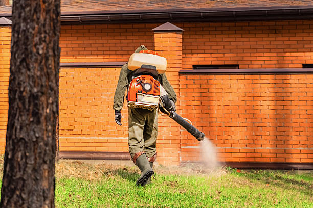 Top rated local Mosquito Control specialists in Arcata, CA
